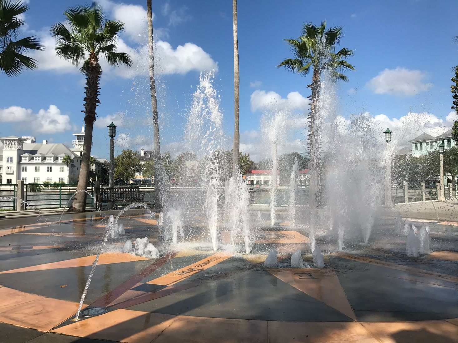 Outdoor fountain and palm trees in Florida